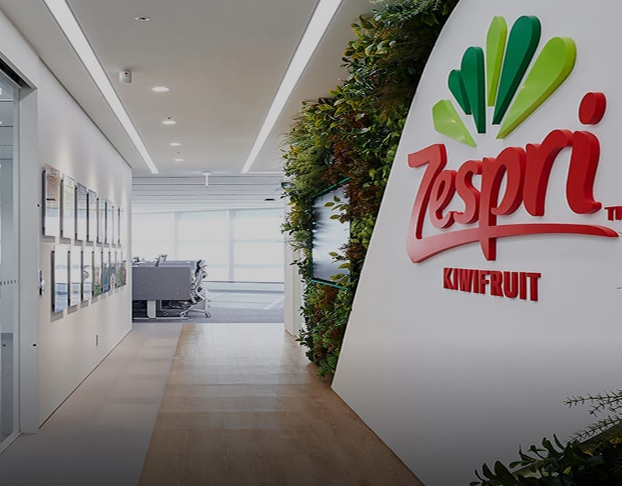 대표 매물 소개